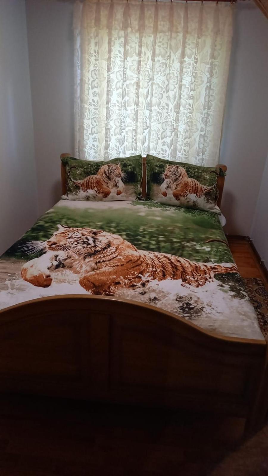 Casa De Vacanta Geoagiu Băi Esterno foto